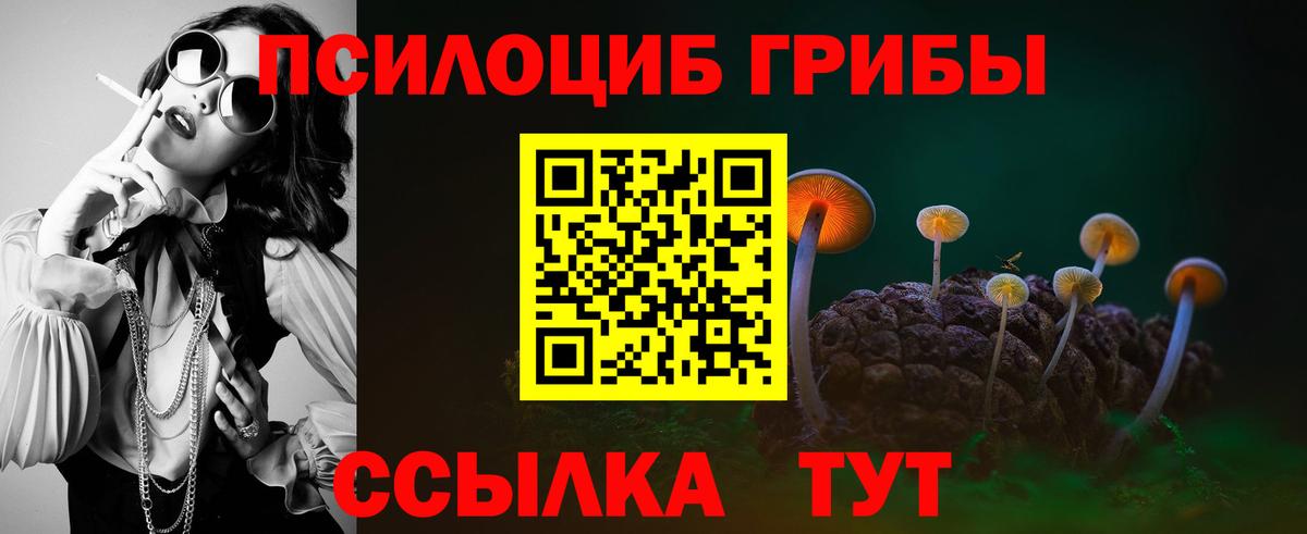 Галлюциногенные грибы Psilocybine cubensis Реж